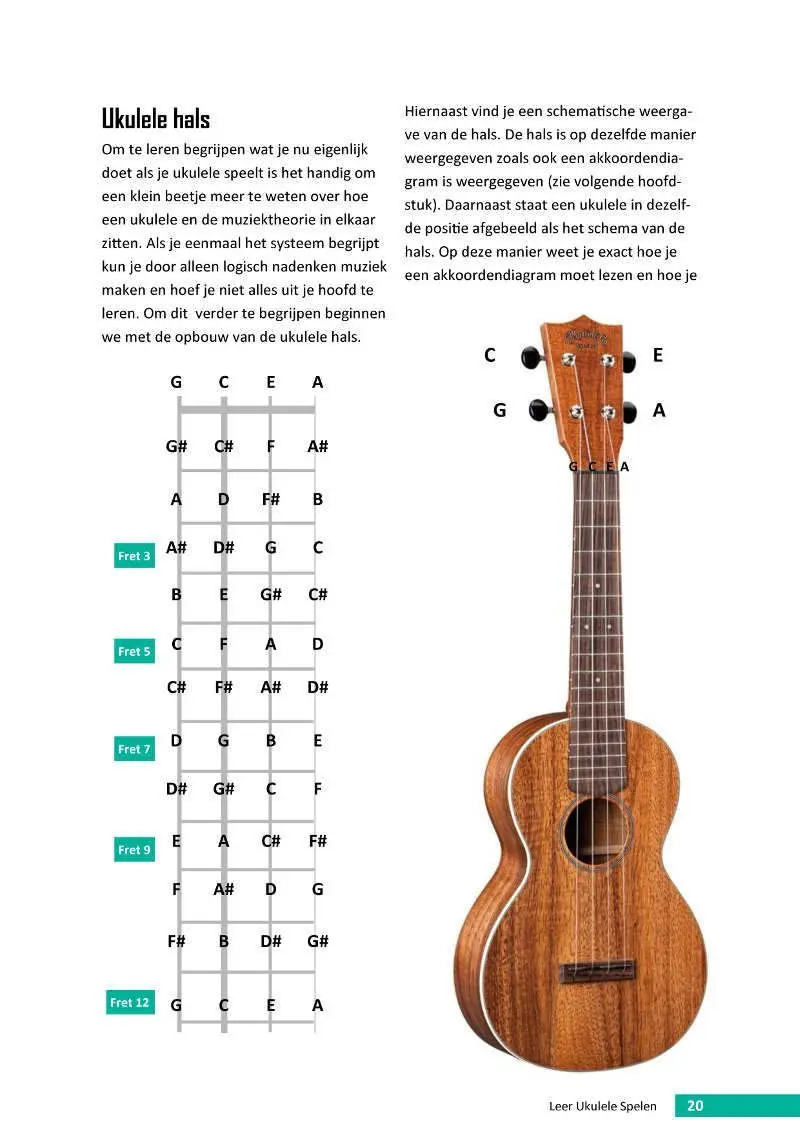 ukelelehals-diagram-overzicht.jpeg